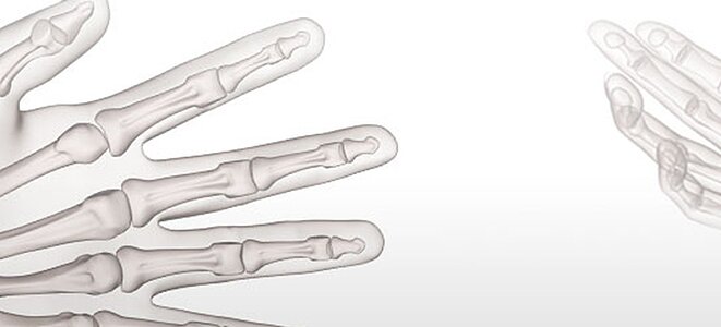 BIRG Humanpräparate-Workshop