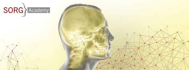SORG Academy - Weiterbildung im Bereich der Mund-, Kiefer- und Gesichtschirurgie